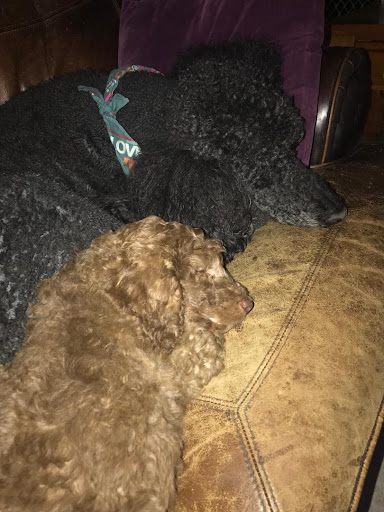 Coco and Fritz